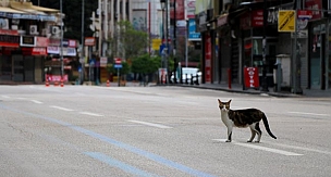 Adana'nın en işlek caddelerinde ıssızlık hüküm sürüyor