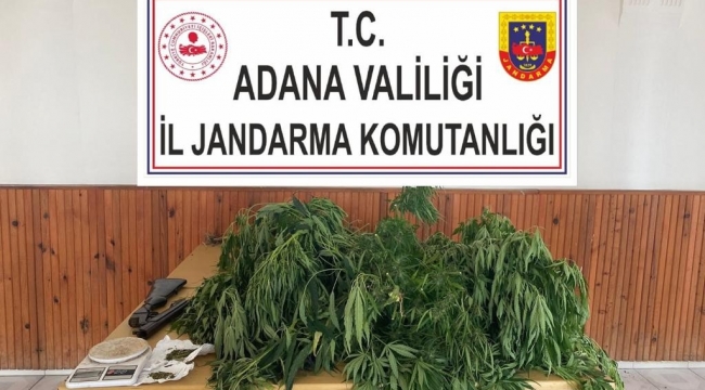 Adana'da uyuşturucu operasyonu: 48 gözaltı