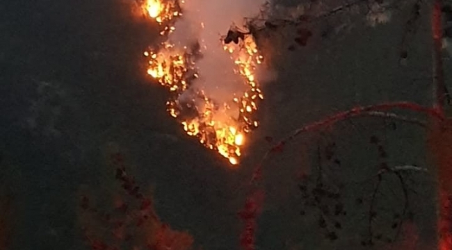 Düşen yıldırım 3 kişiyi yaraladı ormanda yangın çıktı