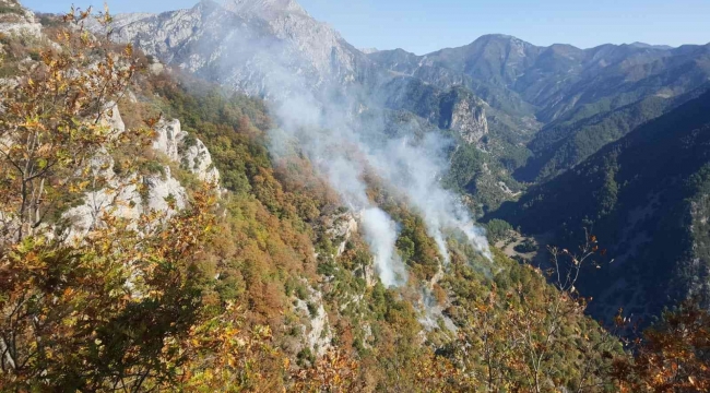 Osmaniye'de orman yangını