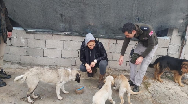 Çevre, doğa ve hayvan polisinden sokak hayvanlarına mama desteği