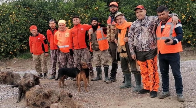 Domuzlardan bıkan üreticiler, avcılardan yardım istedi