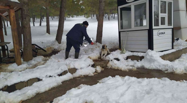 Gaziantep'te karakışta sokak hayvanları unutulmadı