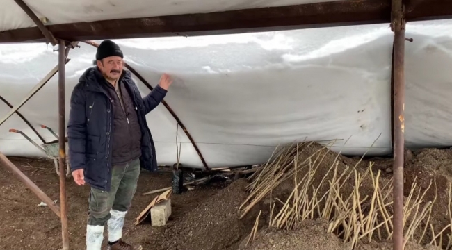 Kahramanmaraş'ta yoğun kar nedeniyle ceviz seraları zarar gördü