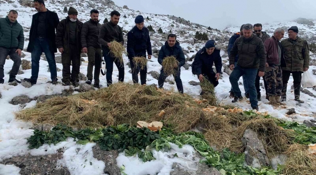 Karla kaplı dağlara yaban hayvanları için yem bıraktılar