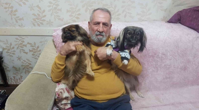 Her yerde kaybolan köpeklerini arıyorlar