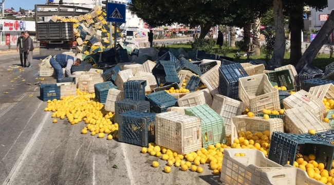 Kamyonun kasası yan yattı, limonlar etrafa saçıldı