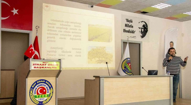 Mut'ta üreticilere Antep Fıstığı Yetiştiriciliği eğitimi verildi