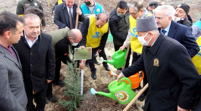 Osmaniye'de Güney Kore-Türkiye Dostluk Ormanı kuruldu