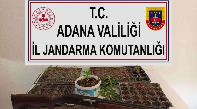 Adana'da kenevir eken 3 kişi yakalandı