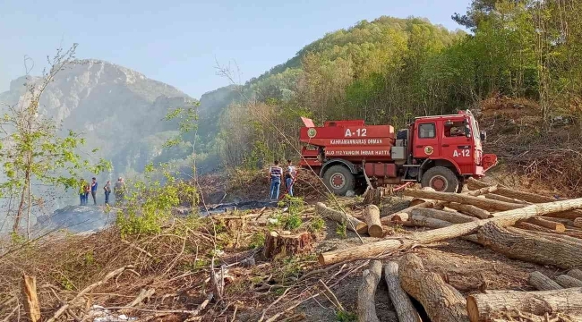 Hatay'da çıkan orman yangını söndürüldü