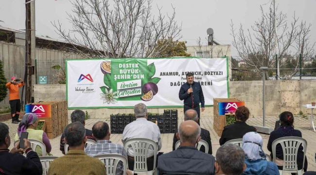 Mersin'de üreticiye 'passiflora fidesi' desteği