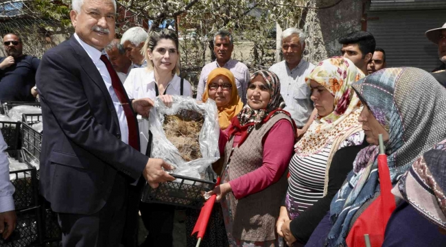 Pozantı'da 1 milyon 200 çilek fidesi dağıtıldı