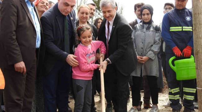 Şahinbey'deki boş arazi ormana dönüşüyor