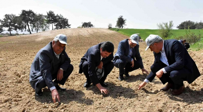 Tarsus'ta yerli ve milli yağlık ayçiçek tohumu ekildi