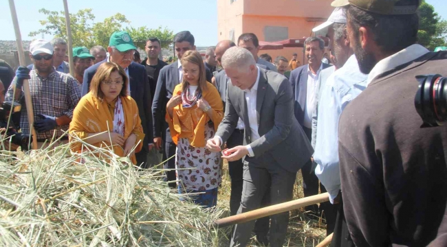 Araban'da festival coşkusu