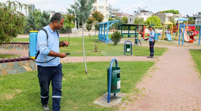 Büyükşehir sivrisinek ve haşere ile mücadeleyi yoğunlaştırdı