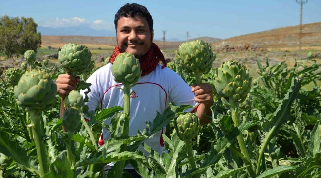 Öğretim üyesi memleketi Hatay'da ilk defa yetiştirdi