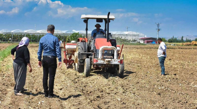 Tarsus'ta soya fasulyesi ekimi yapıldı