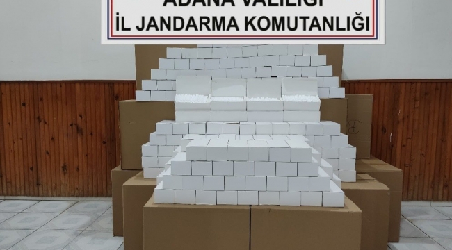 Adana'da 260 bin makaron ele geçirildi