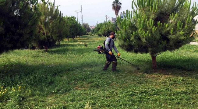 Akdeniz'de park ve yeşil alanlar yenileniyor