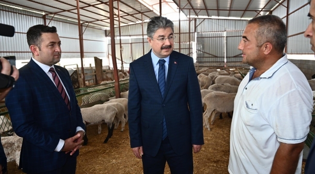 Devlet desteğiyle 100 koyunluk sürü sahibi oldu