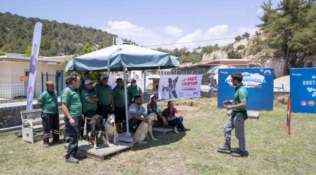 Mersin'de köpek eğitim alanı kuruldu