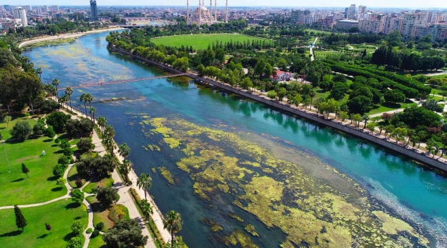 Seyhan Nehri'ni yosunlar istila etti