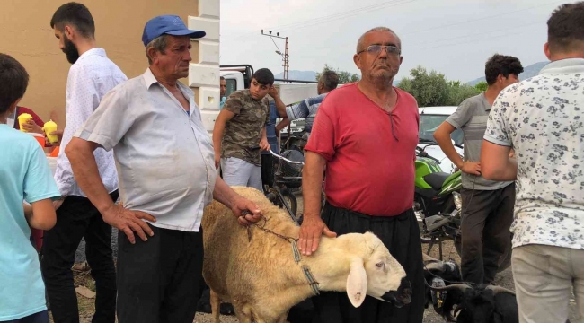 Adanalılar kurbanlıkları akşam serinliğinde aldı