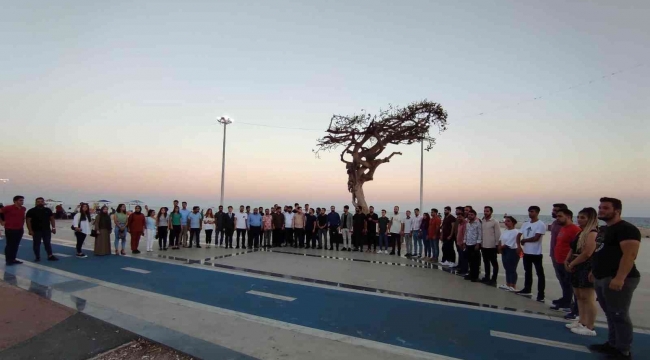 AK Partili gençlerden Mersin'deki ağaç katliamına tepki