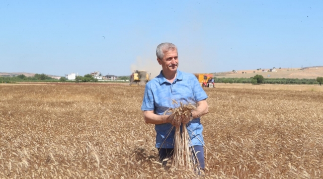 Başkan Tahmazoğlu çiftçinin hasat sevincine ortak oldu