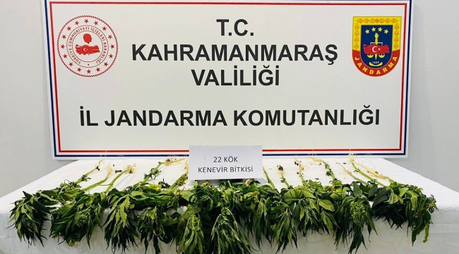 Kahramanmaraş'ta uyuşturucu operasyonu