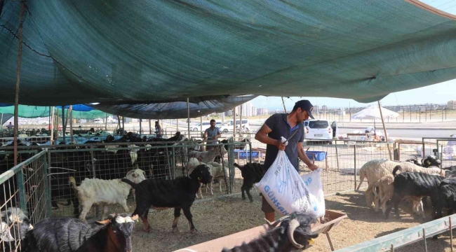 Toroslar'da kurban satış ve kesim alanları hazırlandı