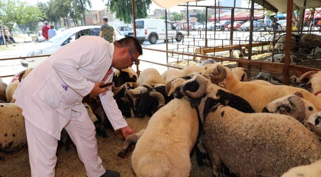 Yüreğir'de kurban satış ve kesim yerleri belirlendi