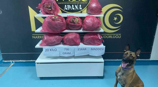 Adana'da 20 kilo 736 gram esrar ele geçirildi