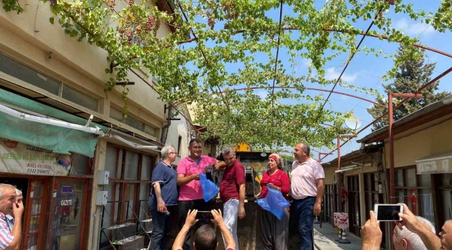 Başkan kepçe üstünde üzüm hasadı yaptı