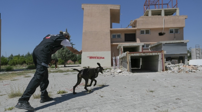 K9 eğitmenleri Mersin'de ortak çalışma yaptı