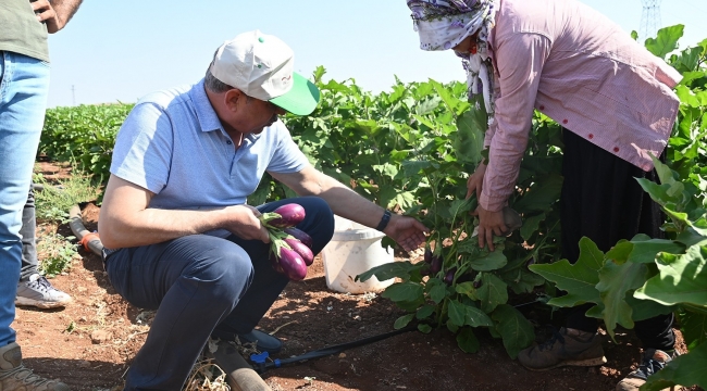 Oğuzeli'nde 62 aileye sürdürülebilir geçim kaynağı