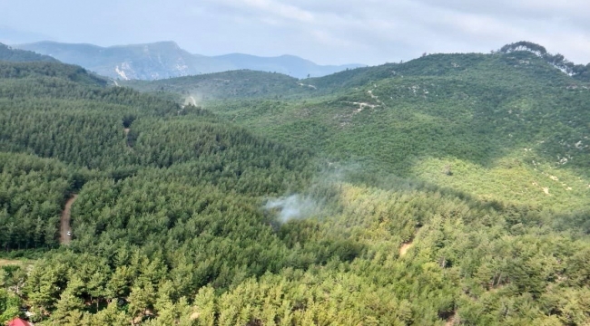 Osmaniye'deki orman yangını kontrol altına alındı