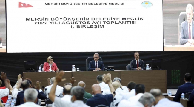 Seçer: "Çarşı karıştığı zaman işler yürümüyor, çarşının karışmasına ben karşıyım"