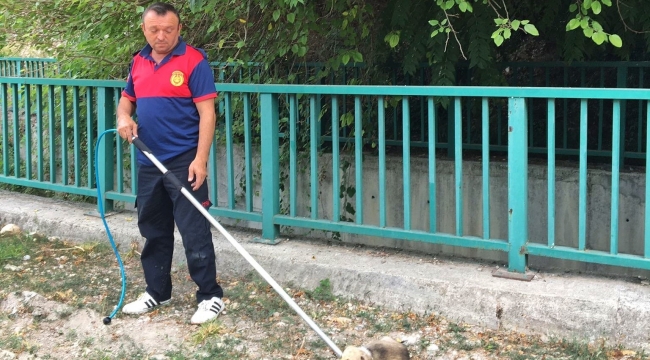 Su kanalına düşen yavru köpeği itfaiye kurtardı