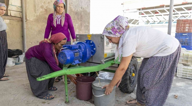 Üzüm sıkma makinesi hibesi üreticilerin yüzünü güldürüyor