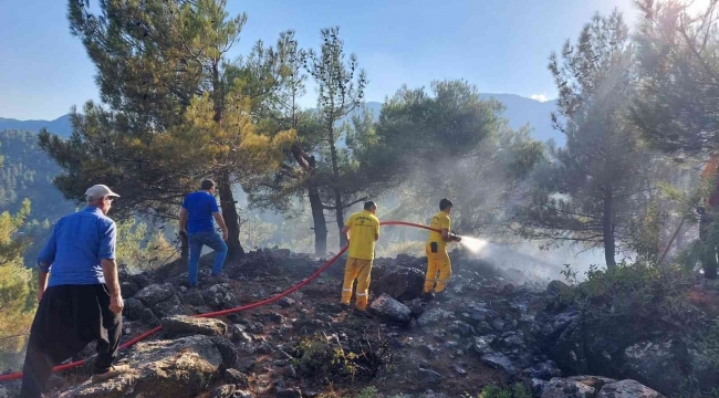 Kahramanmaraş'ta 6 noktada çıkan yangın söndürüldü, ormanları yakan şüpheli yakalandı