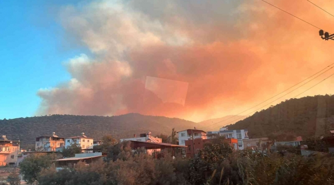 Mersin'de orman yangını: Havadan ve karadan müdahale için ekipler harekete geçti