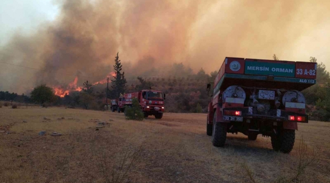 Mersin'deki orman yangınına 3 uçak, 2 helikopterle müdahale ediliyor