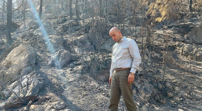 MHP'li Kılavuz, Mersin'deki yangın bölgesinden incelemelerde bulundu