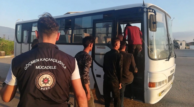 Osmaniye'de 6 düzensiz göçmen yakalandı