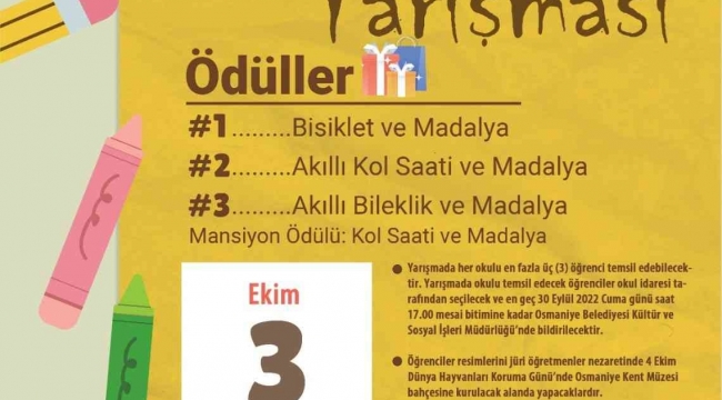 Osmaniye'de "Hayvan Sevgisi" temalı resim yarışması