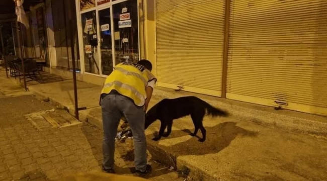 Sokak hayvanlarına polis şefkati