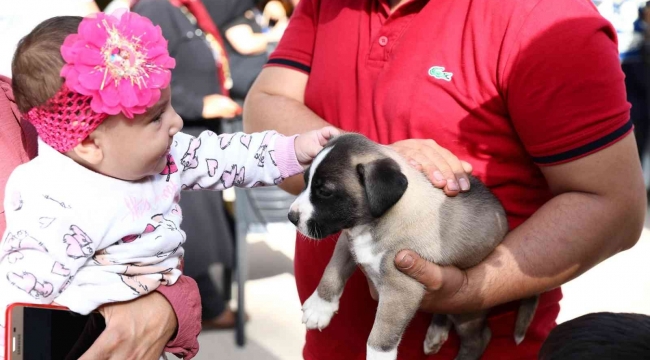 Gaziantep uygulaması ile puanını tamamlayanlara mama verildi